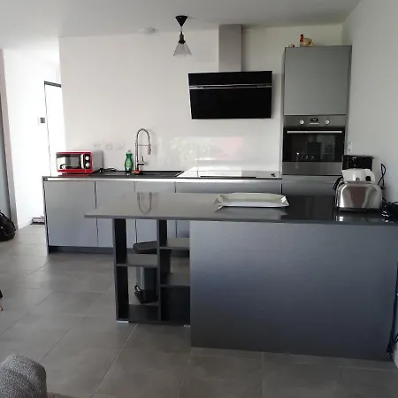 L'oeillet Des Dunes Saint-Palais-sur-Mer