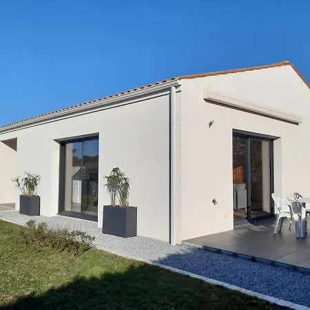 L'oeillet Des Dunes Saint-Palais-sur-Mer