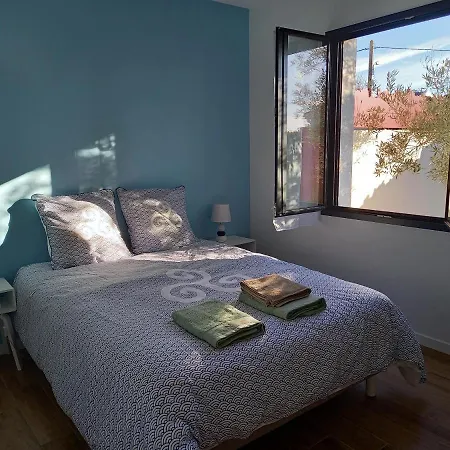 L'oeillet Des Dunes * Saint-Palais-sur-Mer