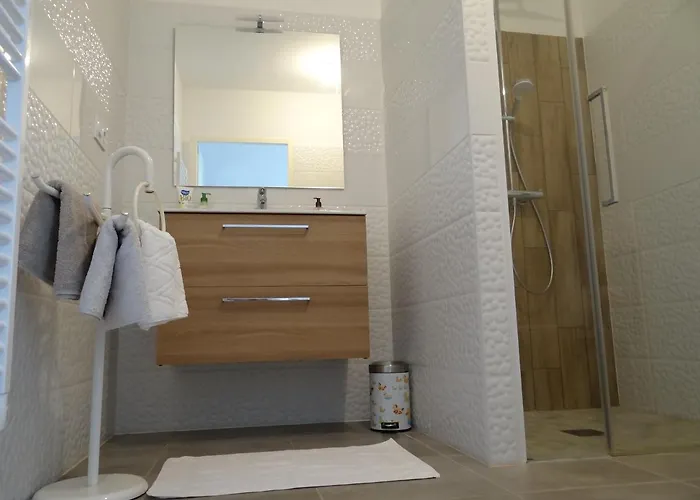 L'oeillet Des Dunes Saint-Palais-sur-Mer