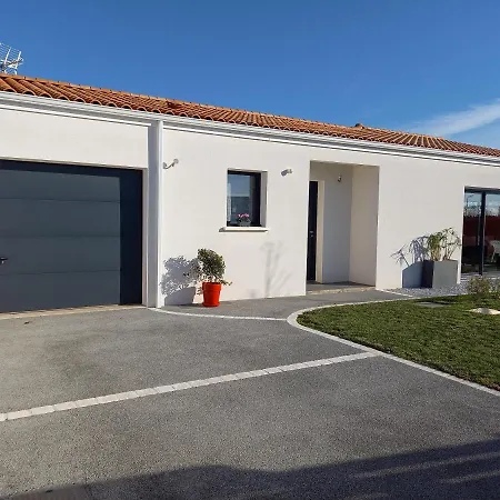 L'oeillet Des Dunes *