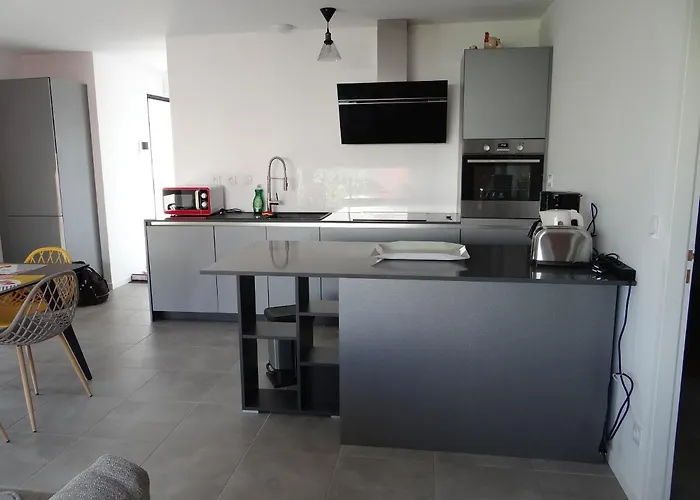 L'oeillet Des Dunes Saint-Palais-sur-Mer