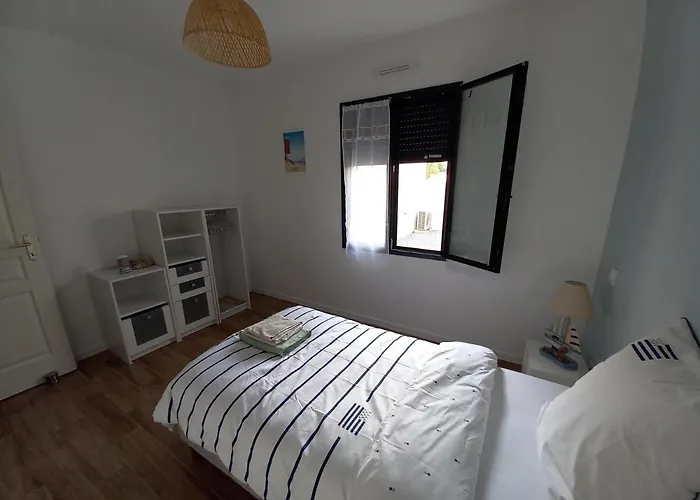 L'oeillet Des Dunes * Saint-Palais-sur-Mer