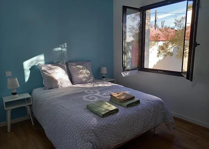 L'oeillet Des Dunes * Saint-Palais-sur-Mer